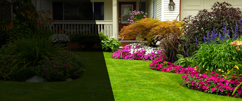 Longview Landscapers