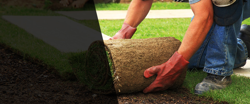 Longview Landscapers